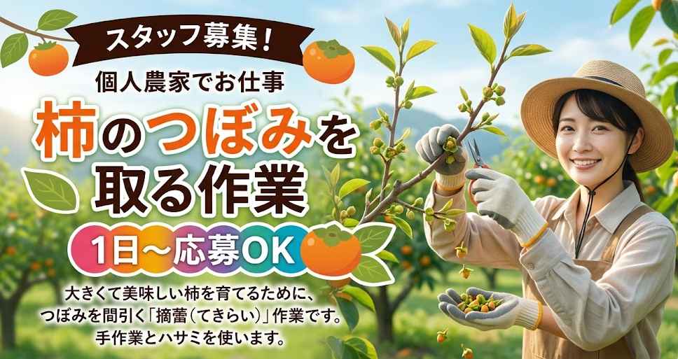 バイト先の写真