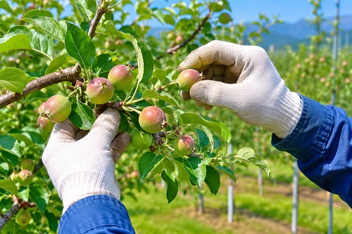 バイト先の写真