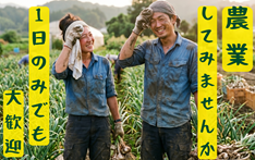 バイト先の写真