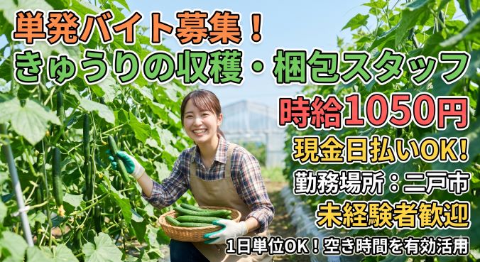 バイト先の写真