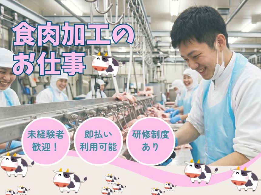バイト先の写真