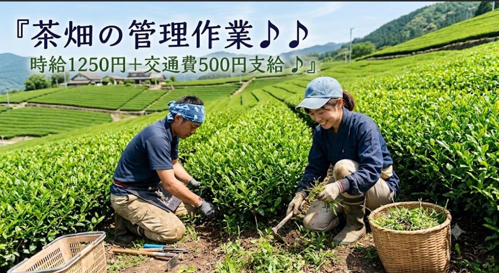バイト先の写真