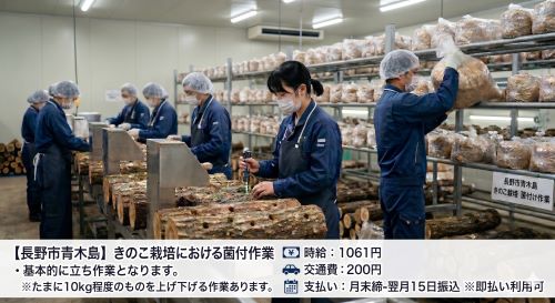 バイト先の写真