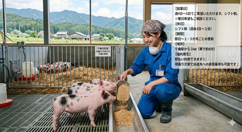 バイト先の写真