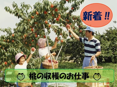 バイト先の写真
