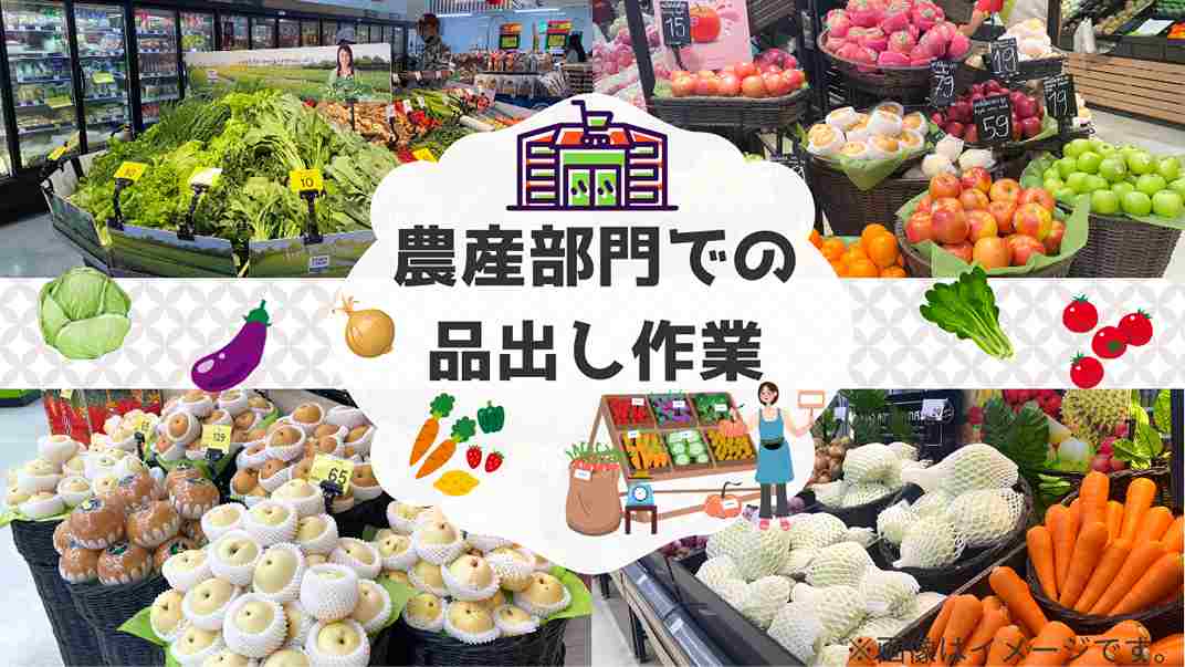 バイト先の写真