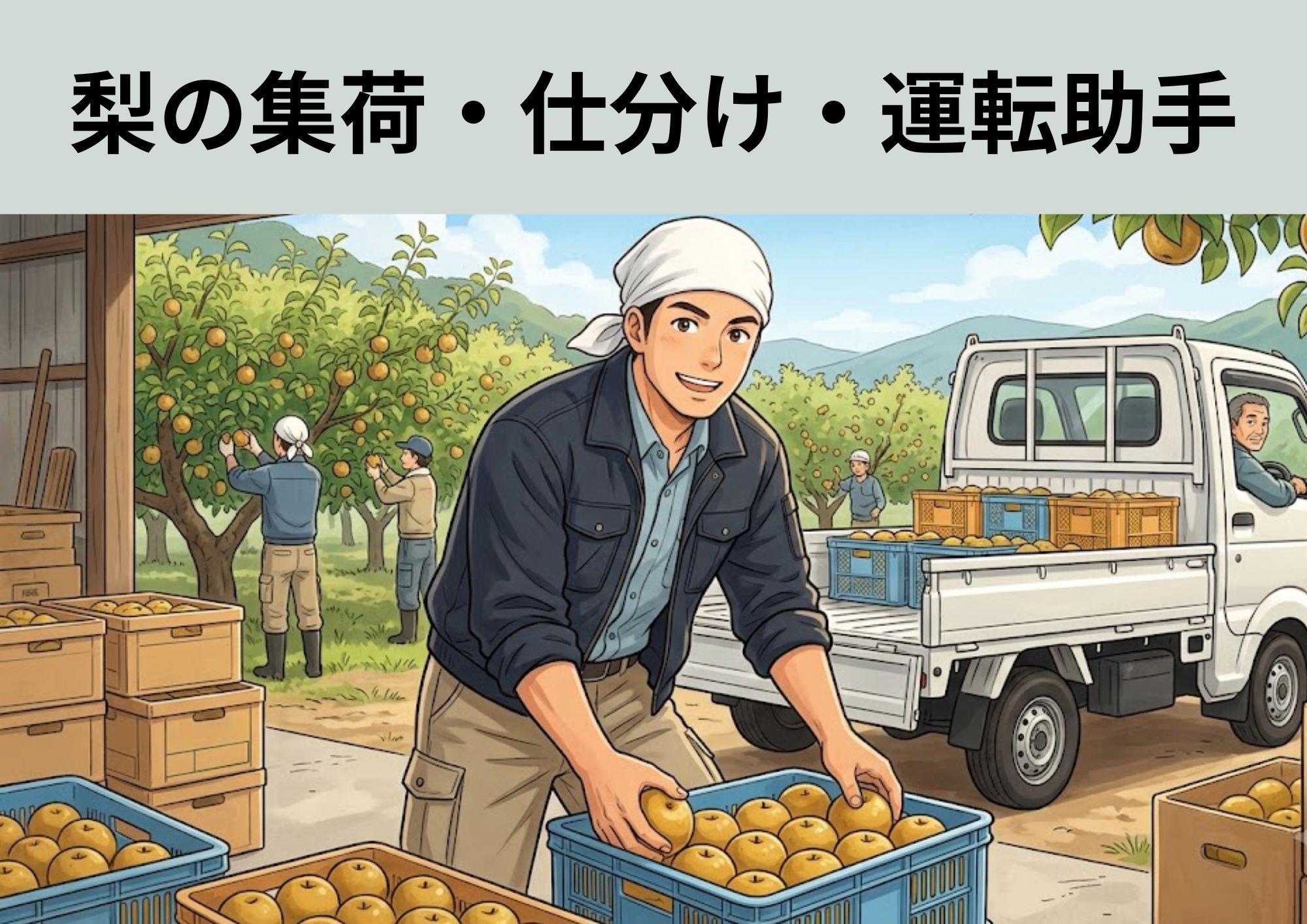 バイト先の写真
