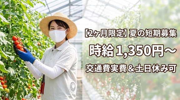バイト先の写真