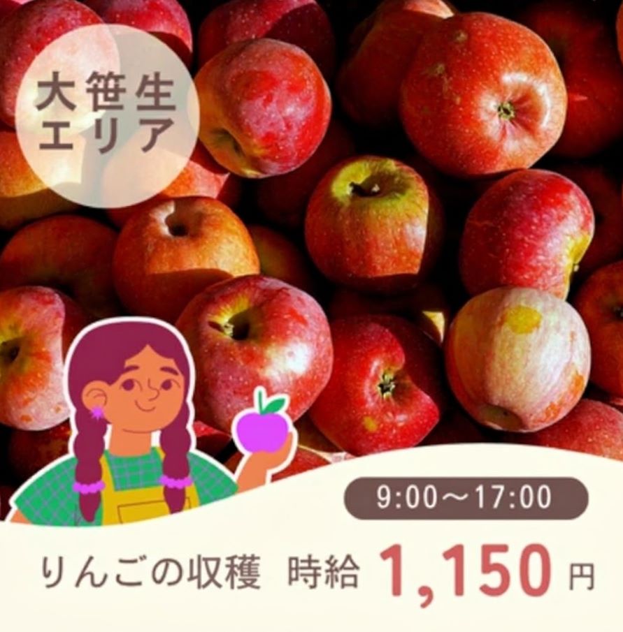バイト先の写真