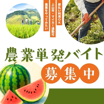 バイト先の写真