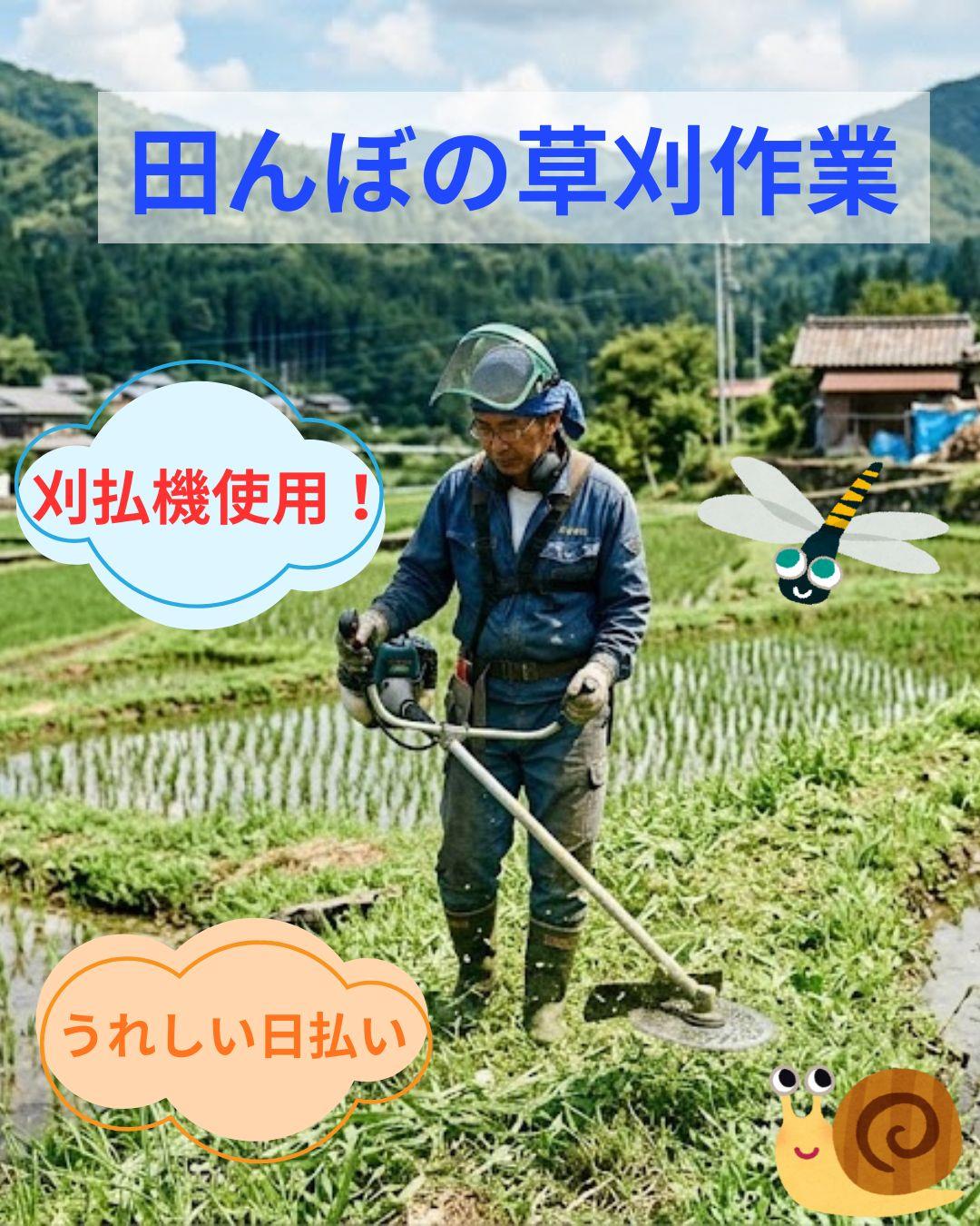 バイト先の写真
