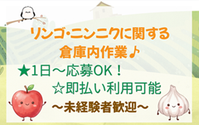 バイト先の写真