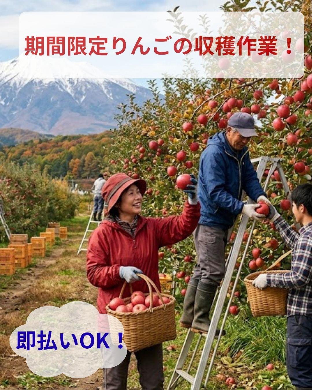 バイト先の写真