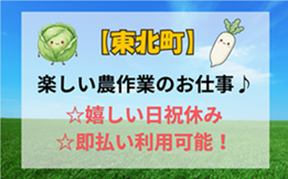 バイト先の写真