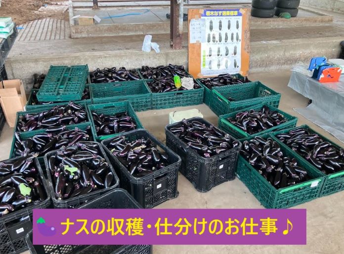 バイト先の写真