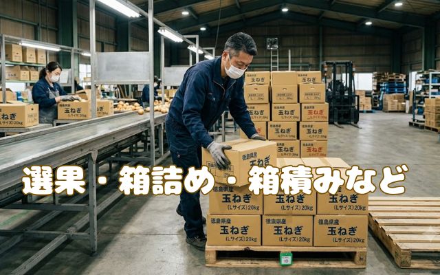 バイト先の写真