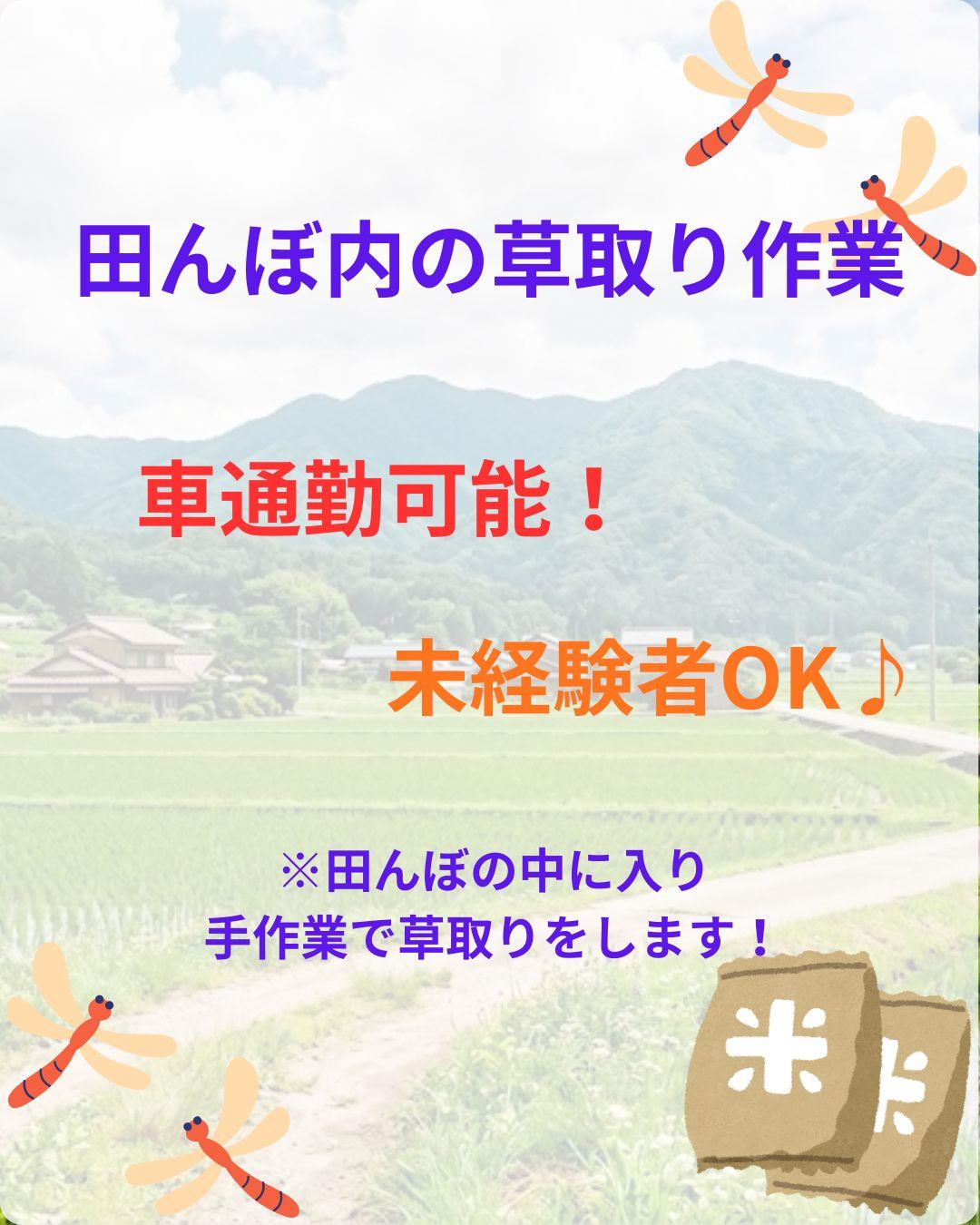 バイト先の写真