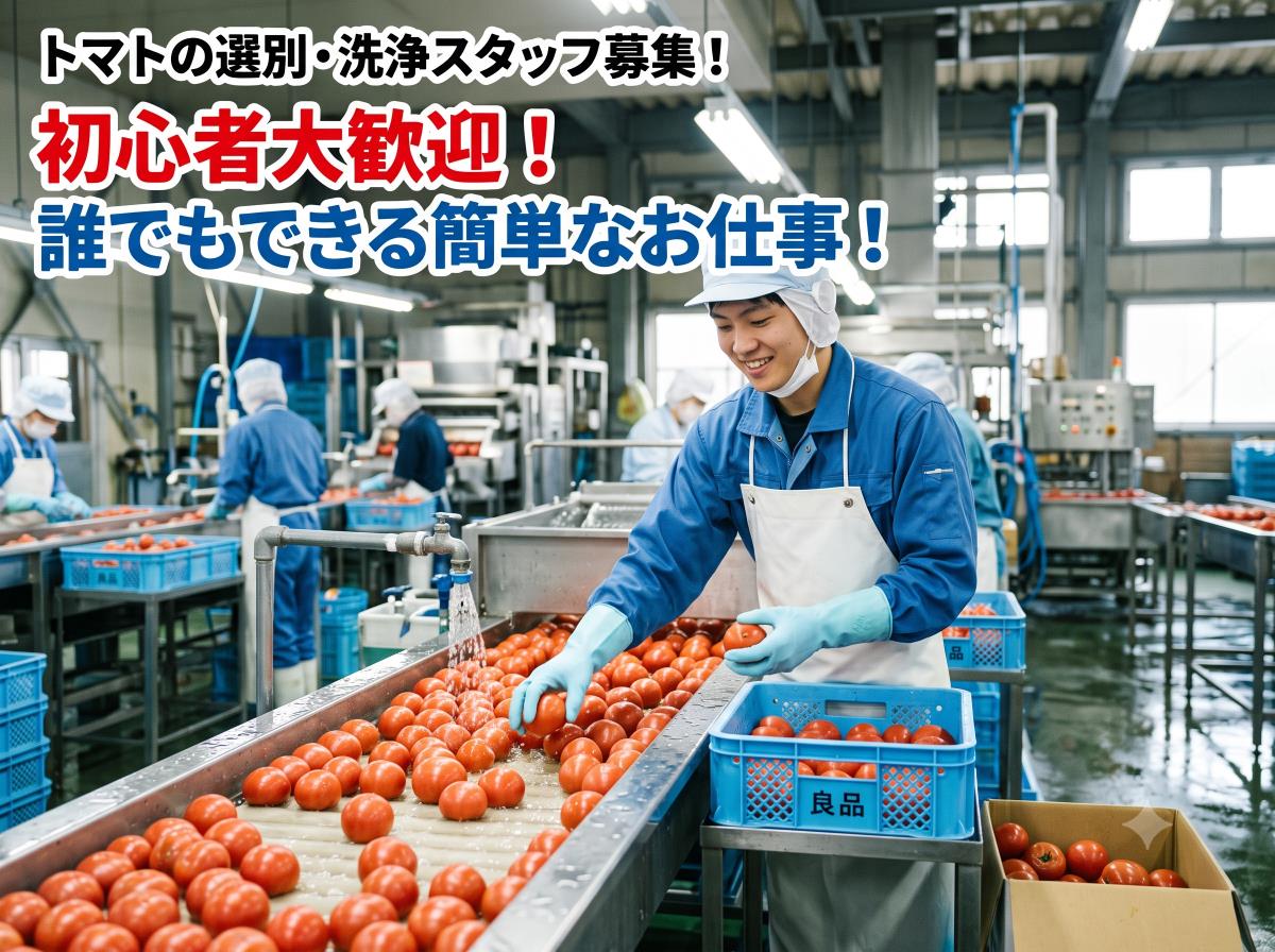 バイト先の写真