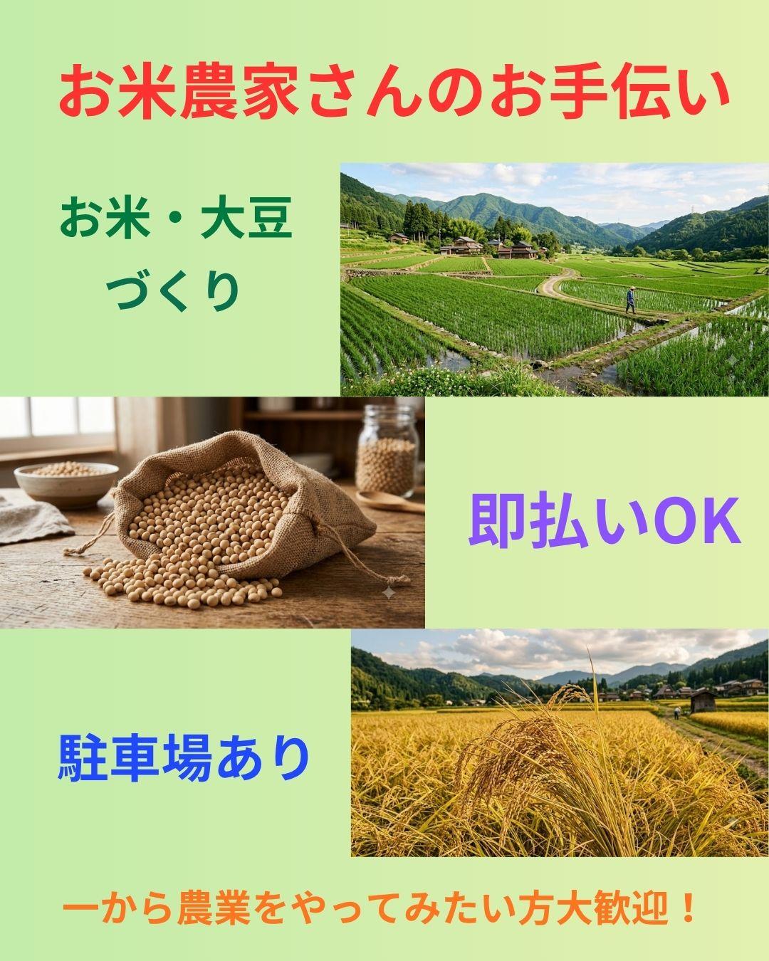 バイト先の写真