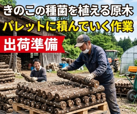 バイト先の写真
