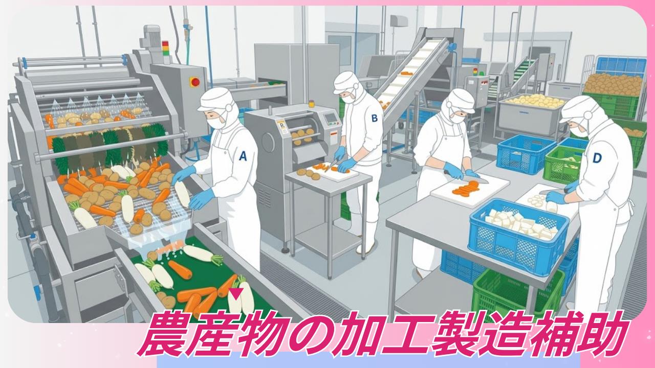 バイト先の写真