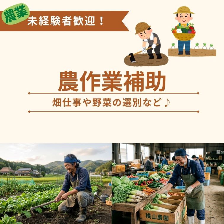 バイト先の写真