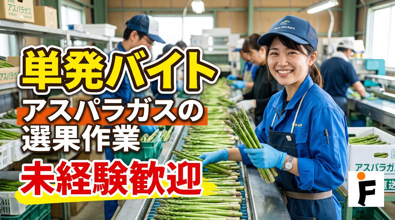 バイト先の写真