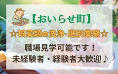 バイト先の写真