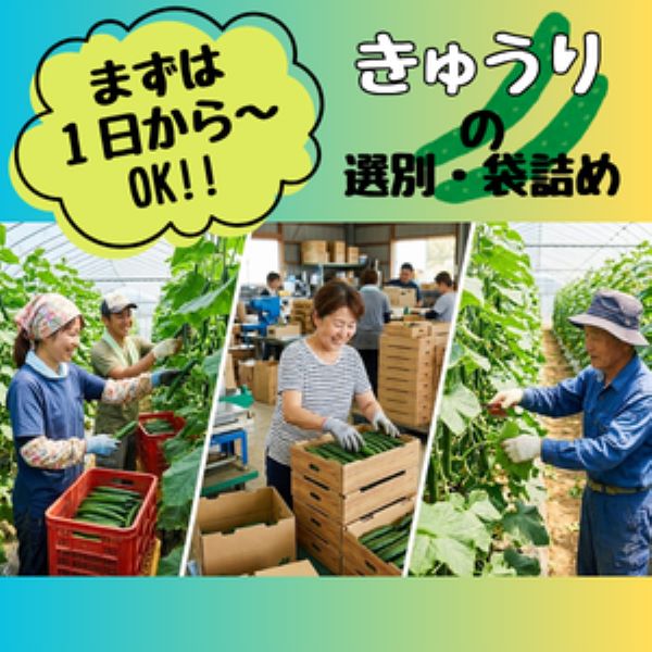 バイト先の写真