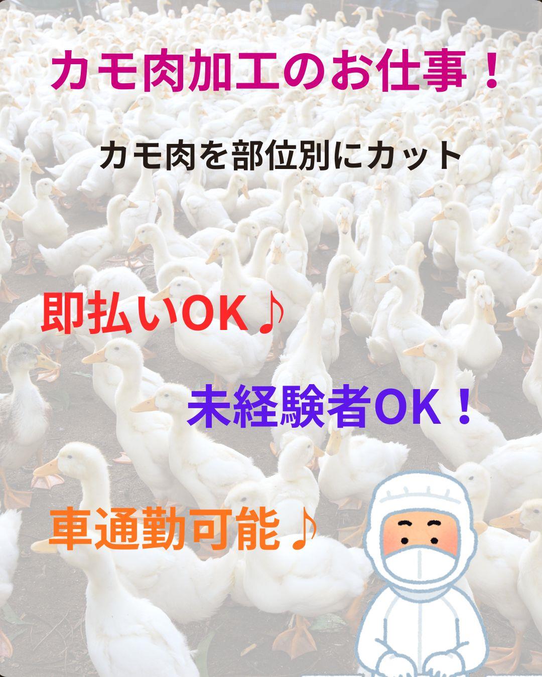 バイト先の写真