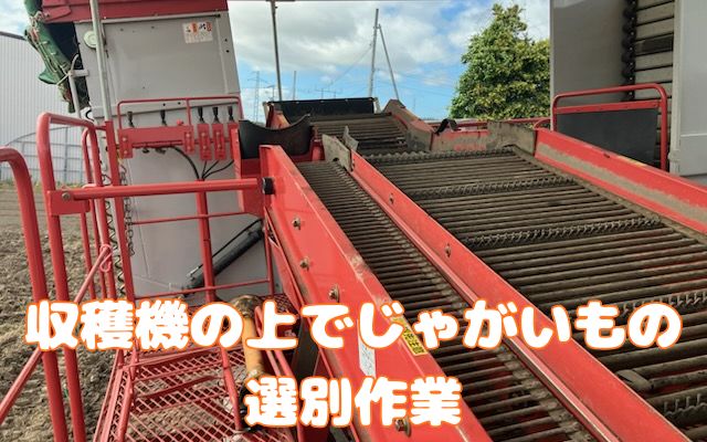 バイト先の写真