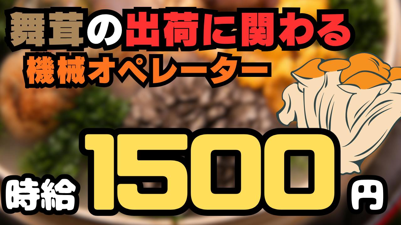 バイト先の写真