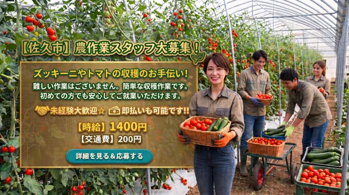 バイト先の写真