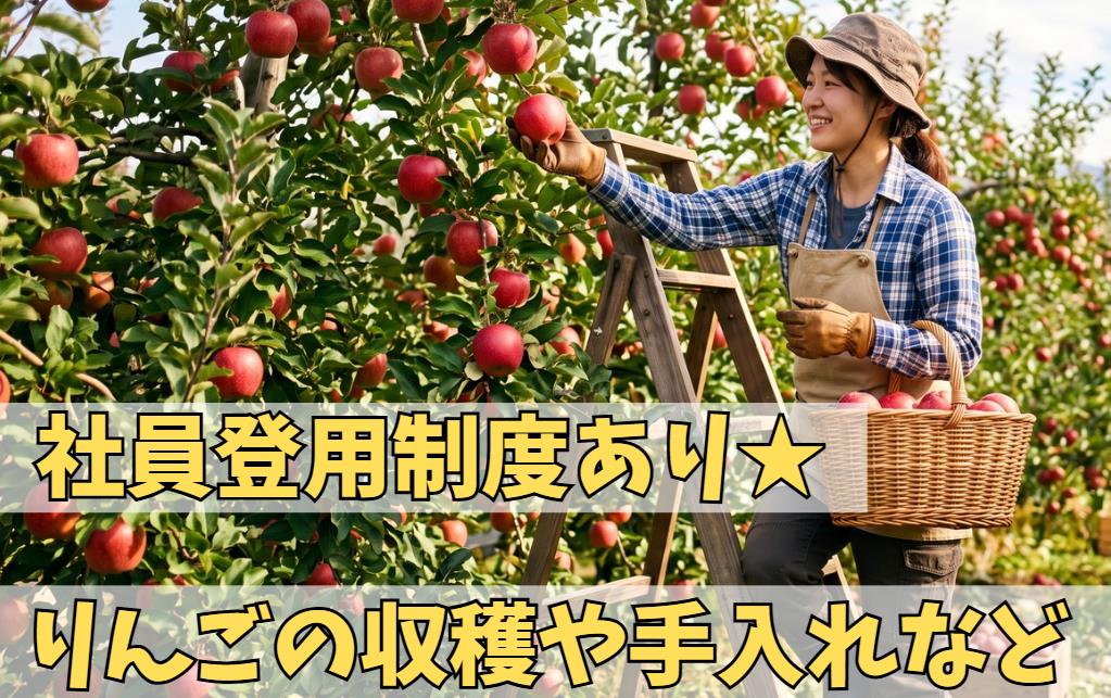 バイト先の写真