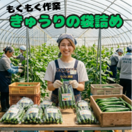 バイト先の写真