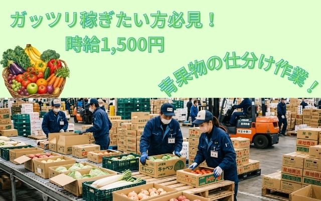 バイト先の写真