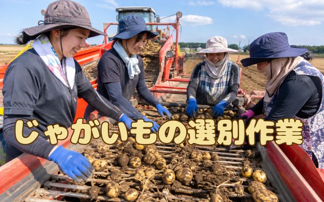 バイト先の写真