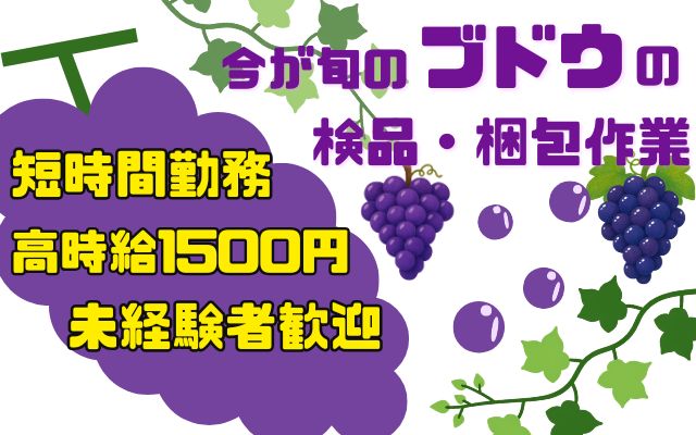 バイト先の写真