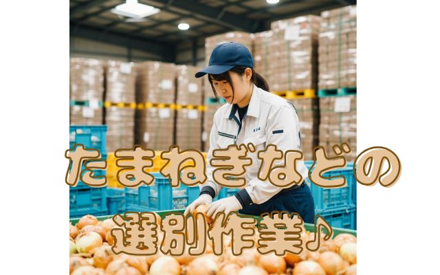 バイト先の写真