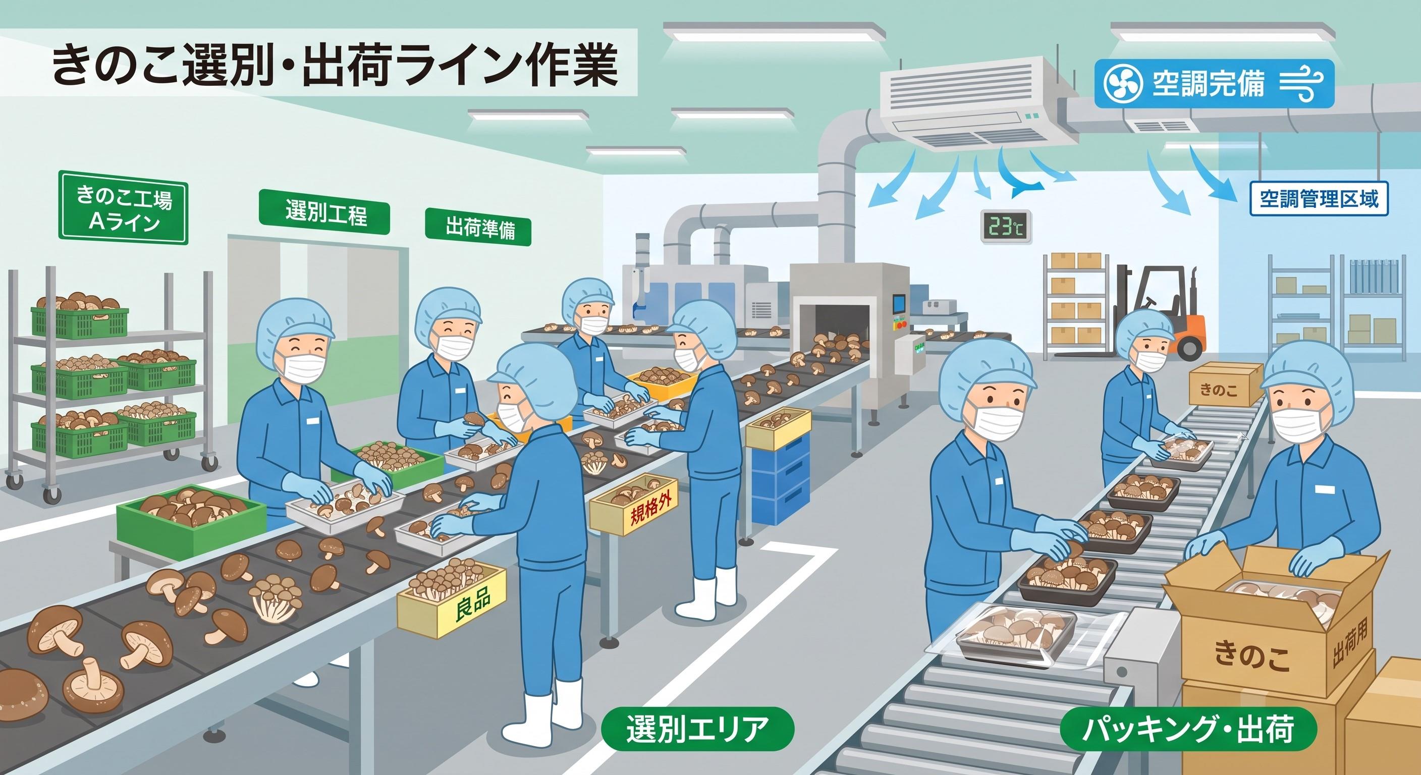 バイト先の写真