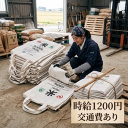 バイト先の写真