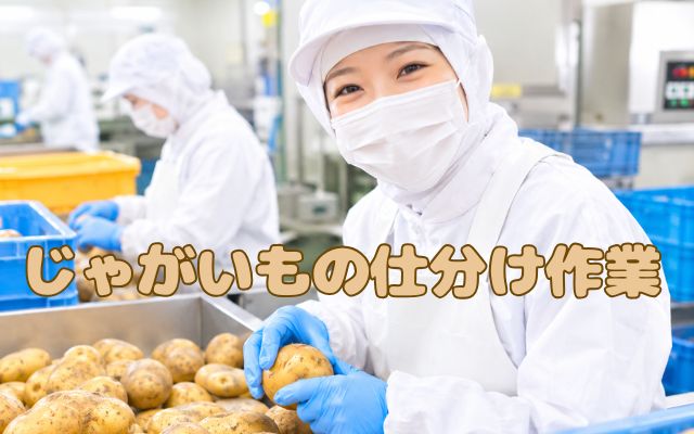 バイト先の写真