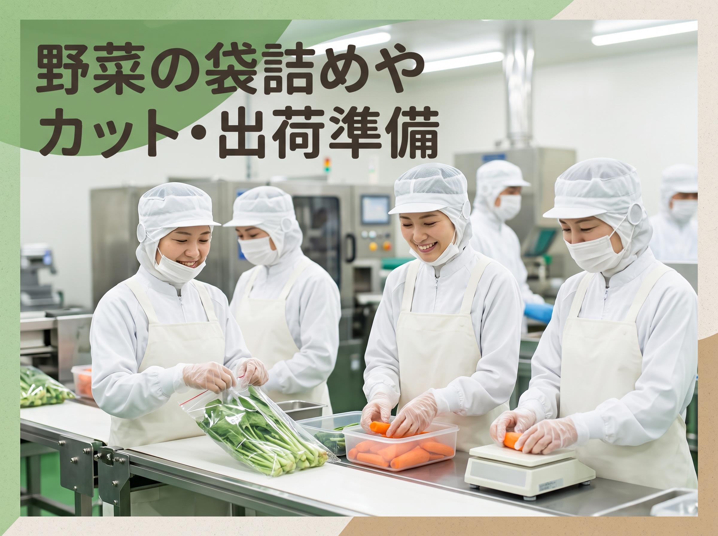 バイト先の写真