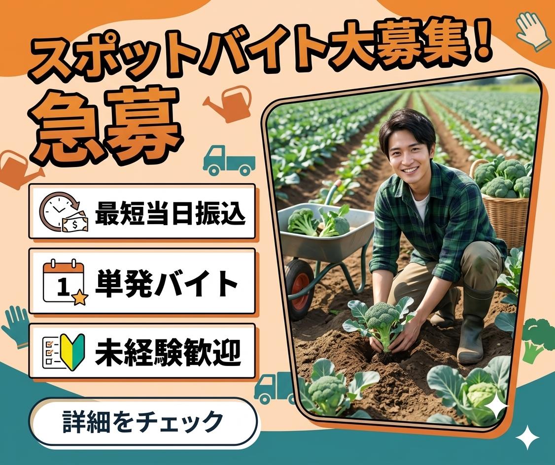 バイト先の写真
