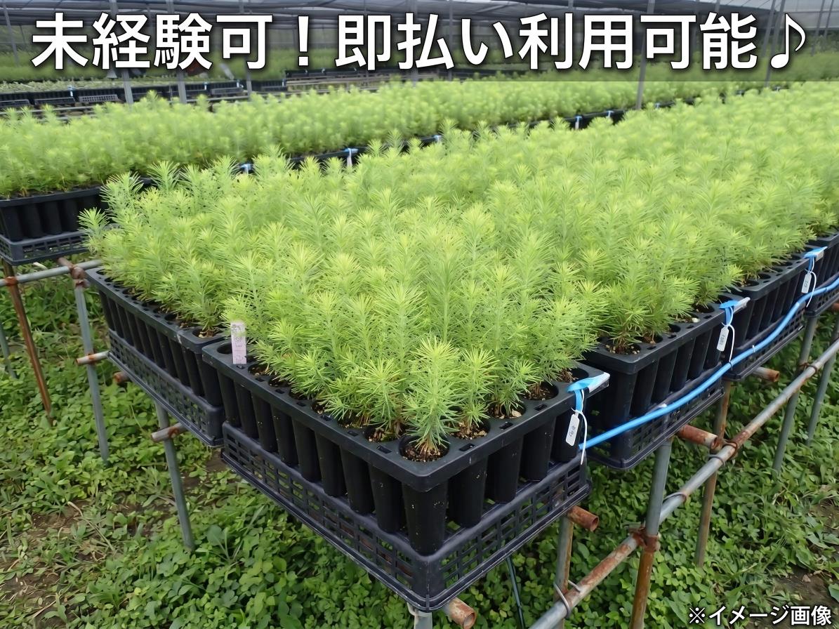 バイト先の写真
