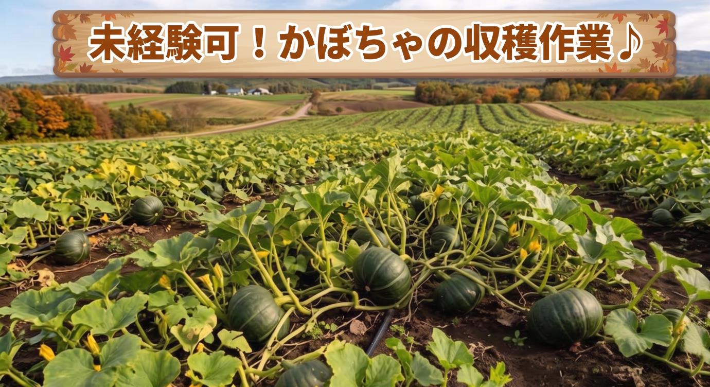 バイト先の写真