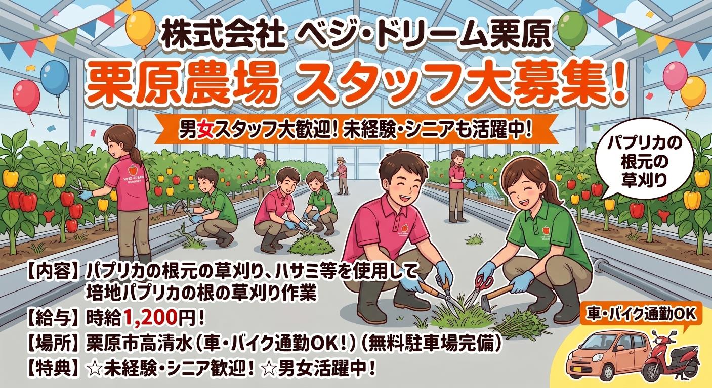 バイト先の写真