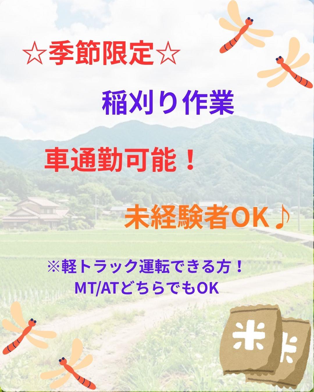 バイト先の写真