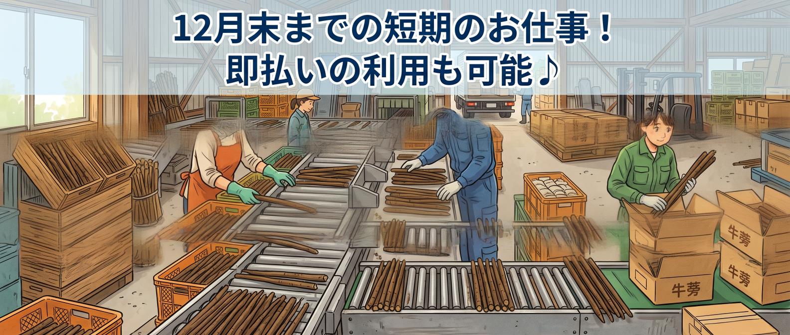 バイト先の写真