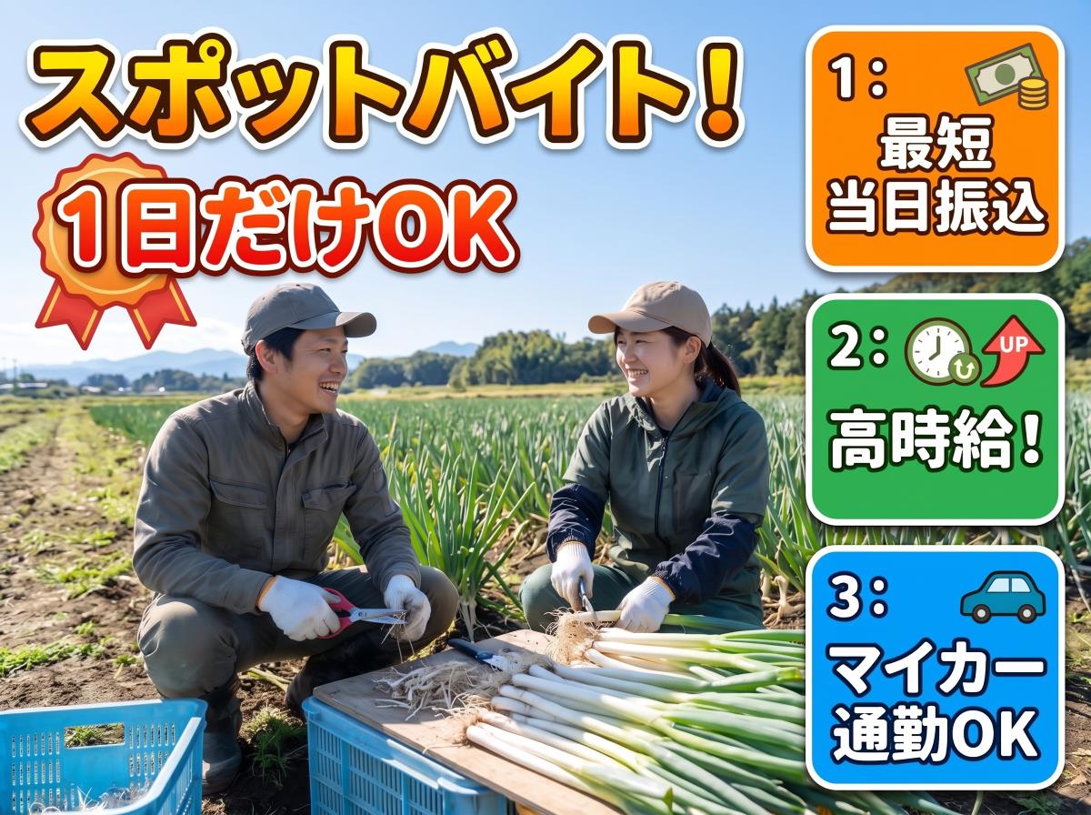 バイト先の写真